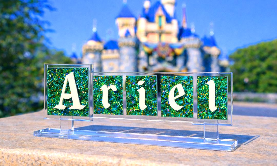 Large Custom Disneyland Name Sign, Acrylic Disney Home Decor, Disney Nursery Sign, Teacher Name Plate, Lawyer Name Sign, Wedding Table Name